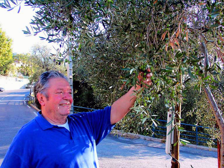 moulin huile olive baussy - olive de nice spéracedes